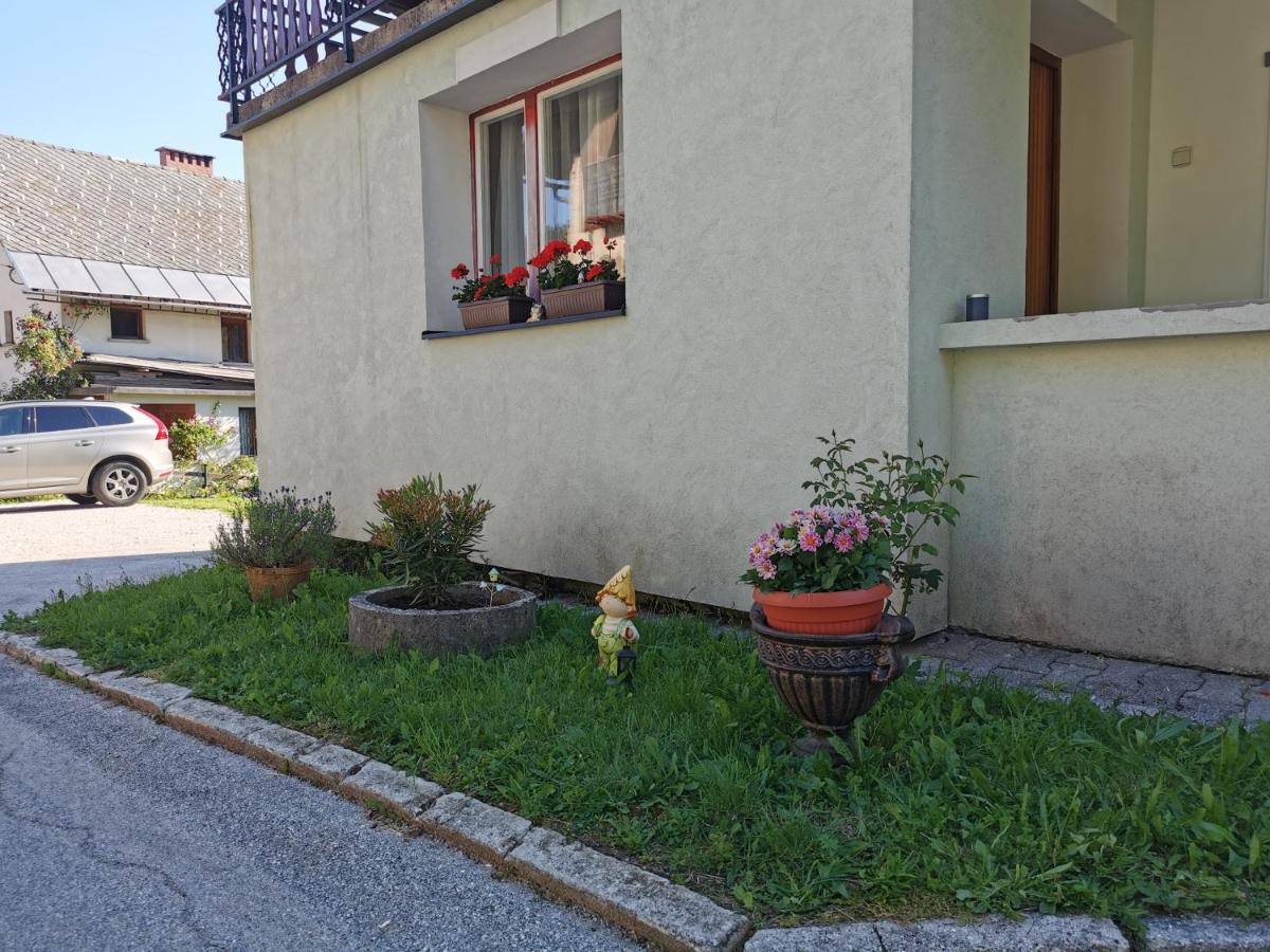Apartma Rekar - A House, Where You Can Relax In The Embrace Of Nature Jesenice Buitenkant foto
