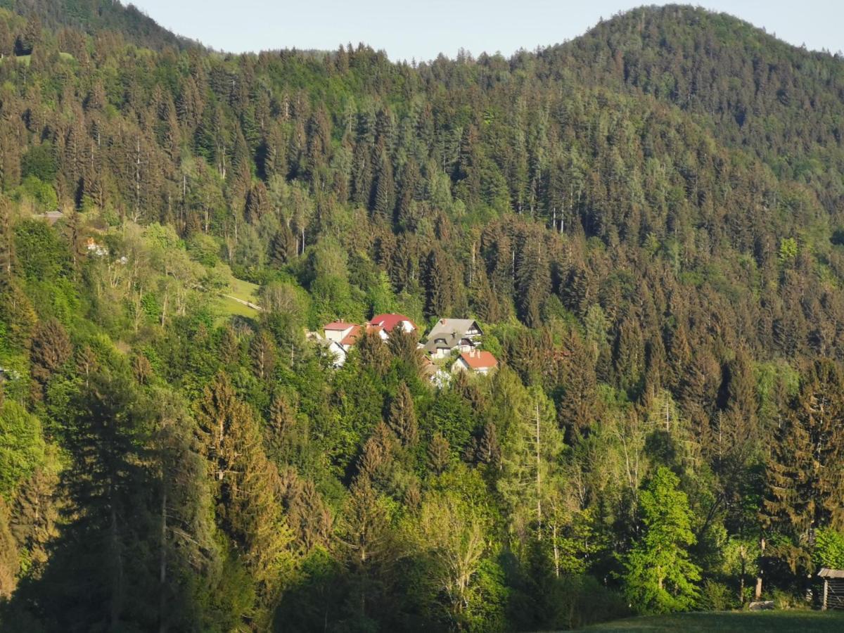 Apartma Rekar - A House, Where You Can Relax In The Embrace Of Nature Jesenice Buitenkant foto