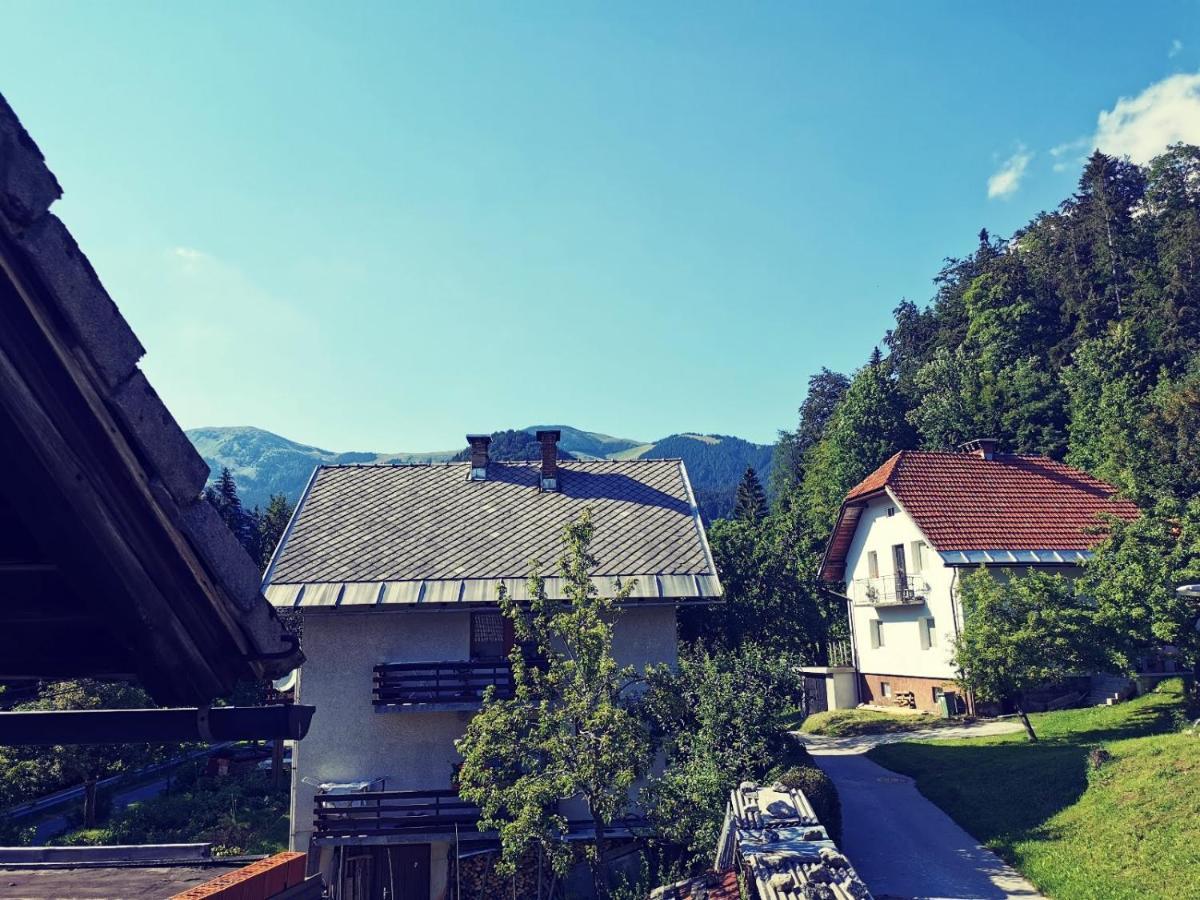 Apartma Rekar - A House, Where You Can Relax In The Embrace Of Nature Jesenice Buitenkant foto