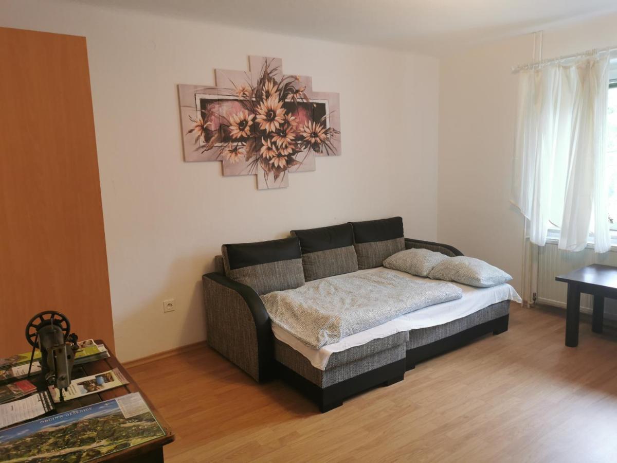 Apartma Rekar - A House, Where You Can Relax In The Embrace Of Nature Jesenice Buitenkant foto